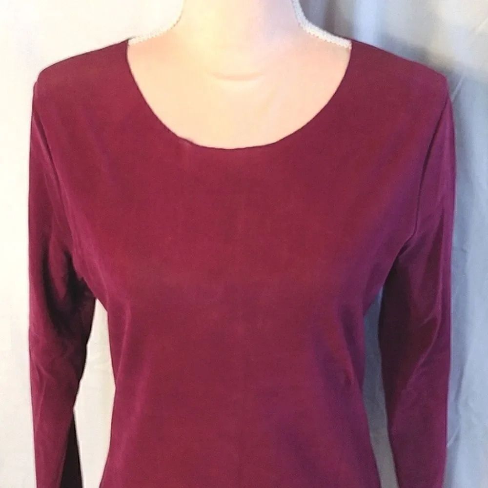 Free People Garnet Countdown Flocked Velvet Long Sleeve Top Large NWOT - Picture 4 of 16